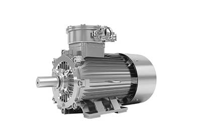 Pro-Ex Exproof Motor